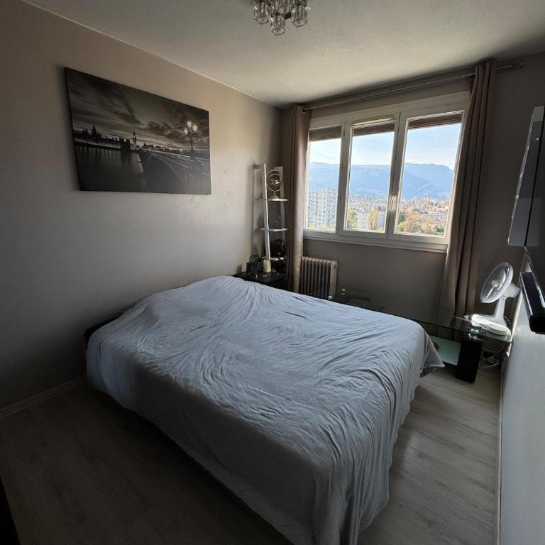 Panoramic top floor - Mountain view - 6 people 2 chambres - Appartement 1 Chambre - 14