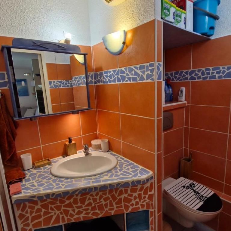 Appartement T2 rez-de-jardin St Cyprien plage - Apartment mit 1 Schlafzimmer - 7