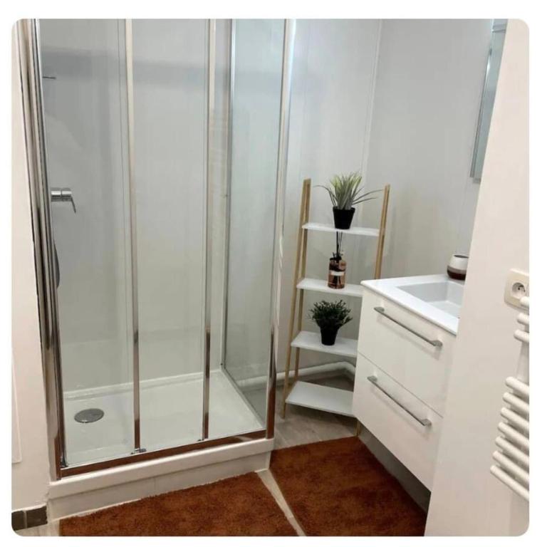 Lieu ideal Disney et CC Val d'Europe plus Parking pour 4 à 6 personnes - Apartamento de 2 dormitorios - 6