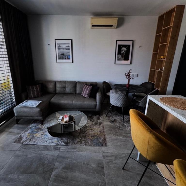 Penthouse Apartman Bulevar Sarajevo - Apartman sa 1 Spavaćom Sobom - 9
