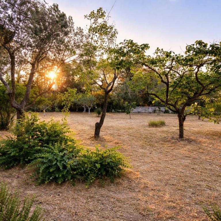 Le Cenate 44 by Salento Mare Cielo Travel Slow Live More - Villa con 2 Camere da Letto - 11