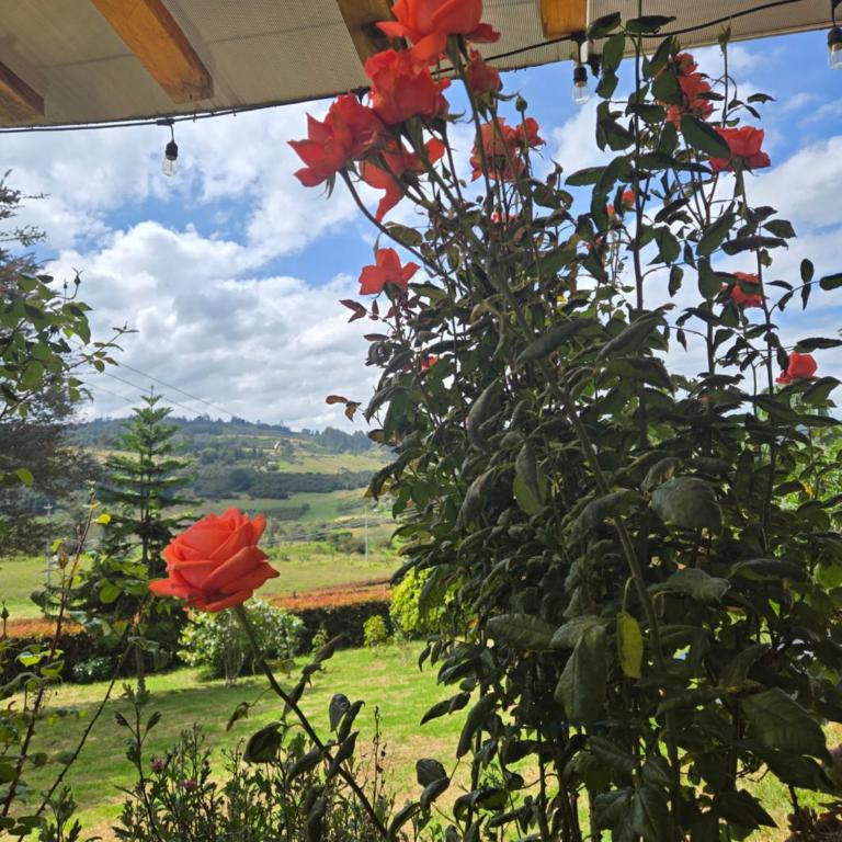Cabaña Campestre Montreal - Three-Bedroom House - 3