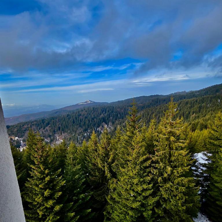 The Pine Loft by Kopaonik - Apartman sa 2 Spavaće Sobe - 11