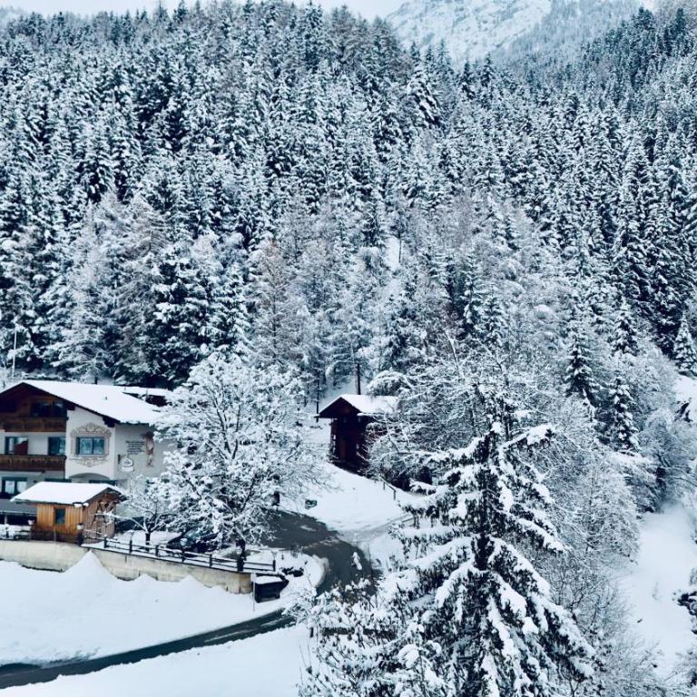 Pension Riese - Apartment mit 1 Schlafzimmer, Balkon und Bergblick - 2