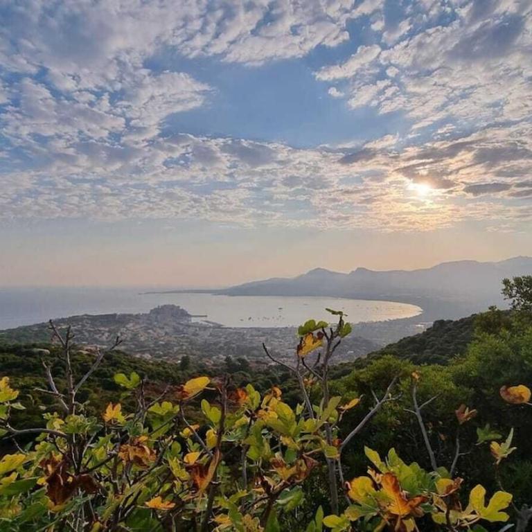 Résidence port Calvi- Apartment T3 sea view - Apartment mit 2 Schlafzimmern - 27
