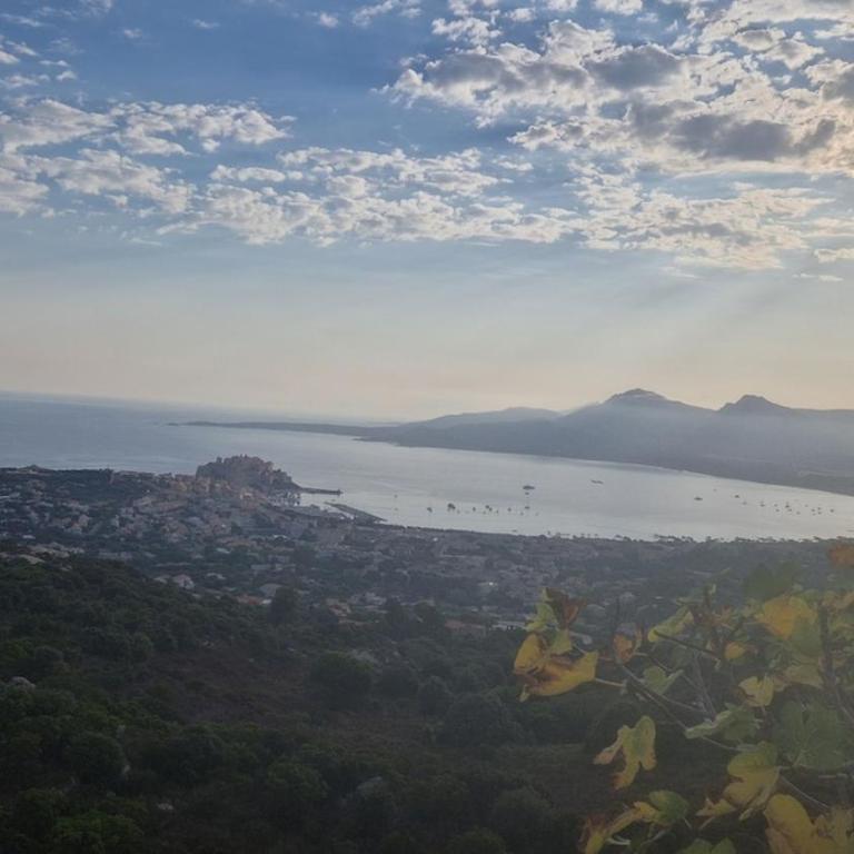 Résidence port Calvi- Apartment T3 sea view - Apartment mit 2 Schlafzimmern - 28