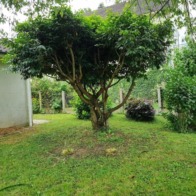Maison quartier ouest Limoges - Villa 2 Chambres - 7