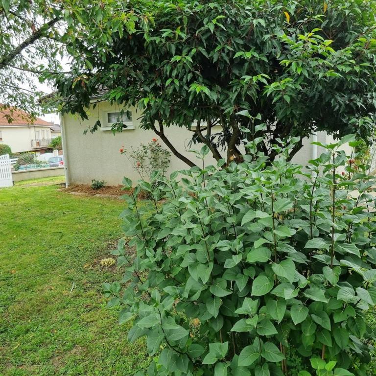 Maison quartier ouest Limoges - Villa 2 Chambres - 24