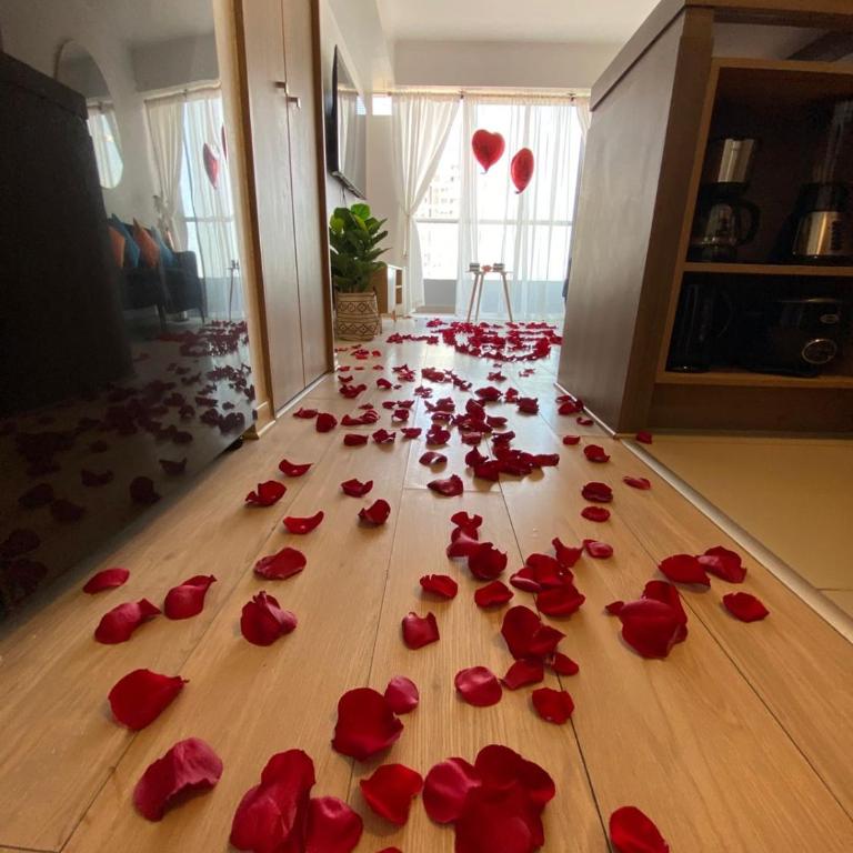 San Miguel Apartment Ocean Magic - One-Bedroom Apartment with Balcony and Sea View - 12