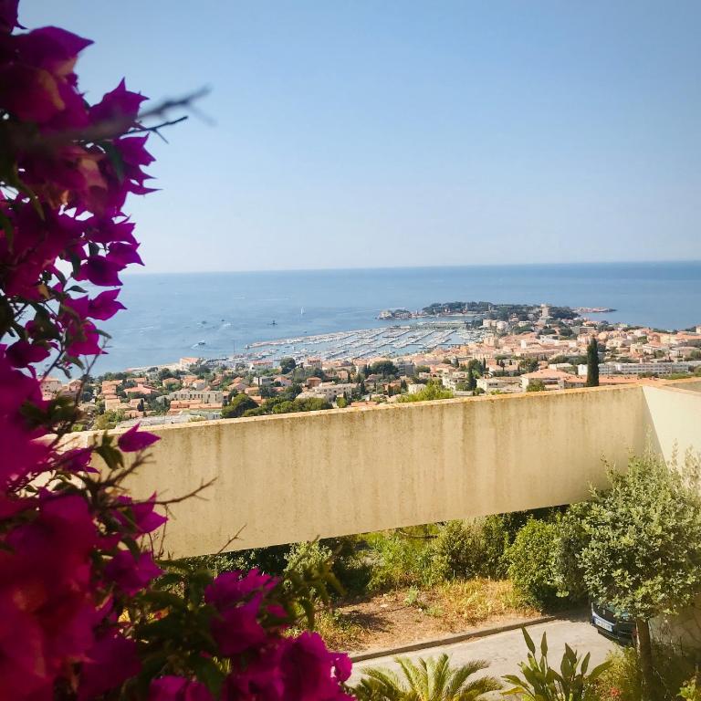 T2 vue mer exceptionnelle avec grande terrasse plein sud wifi piscine - Apartamento de 1 dormitorio con vistas al mar - 26