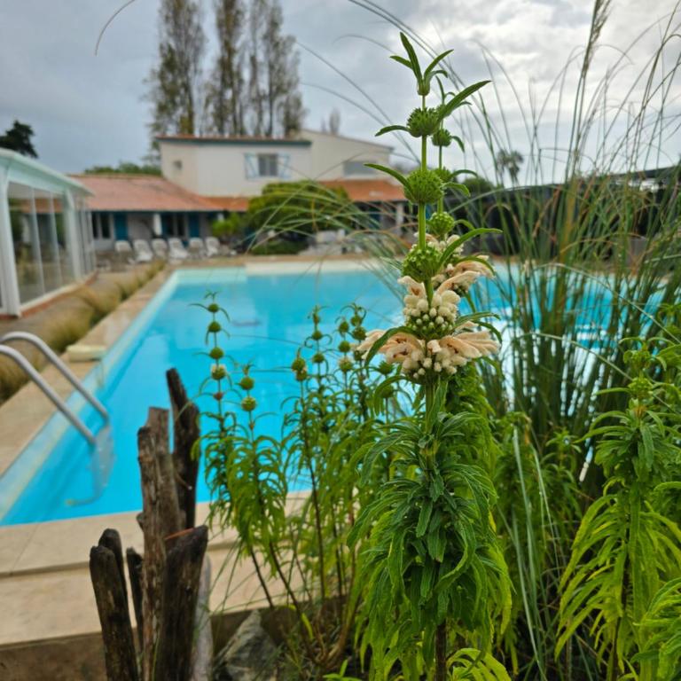 L'auberge Camarguaise - Petite Chambre - 1