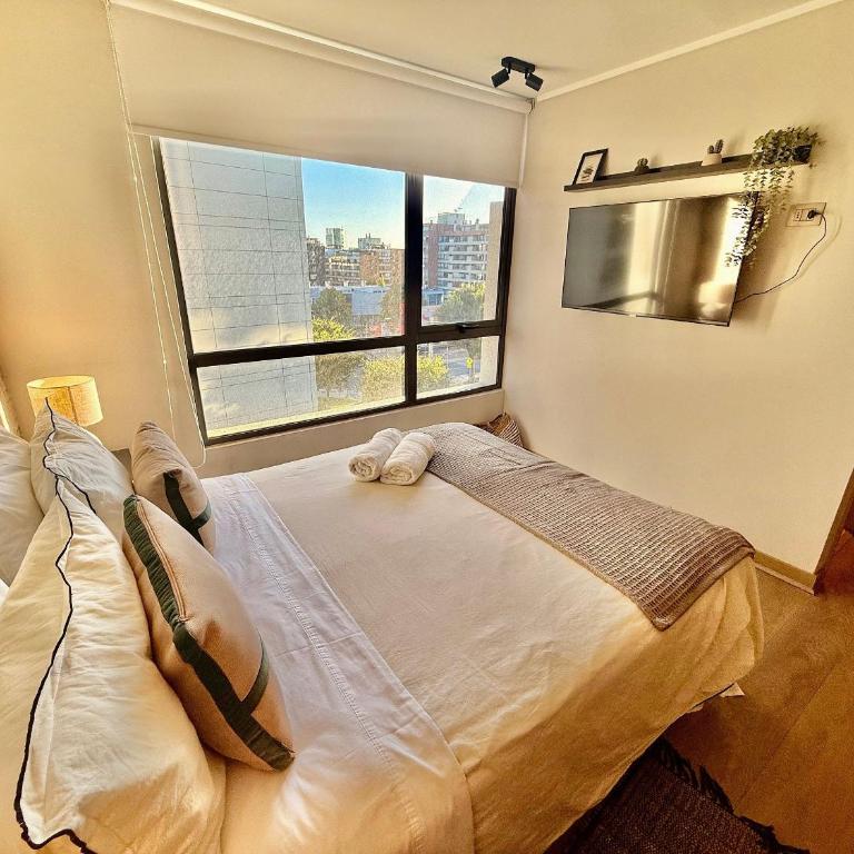 Modern decor and excellent location - Apartment - 6