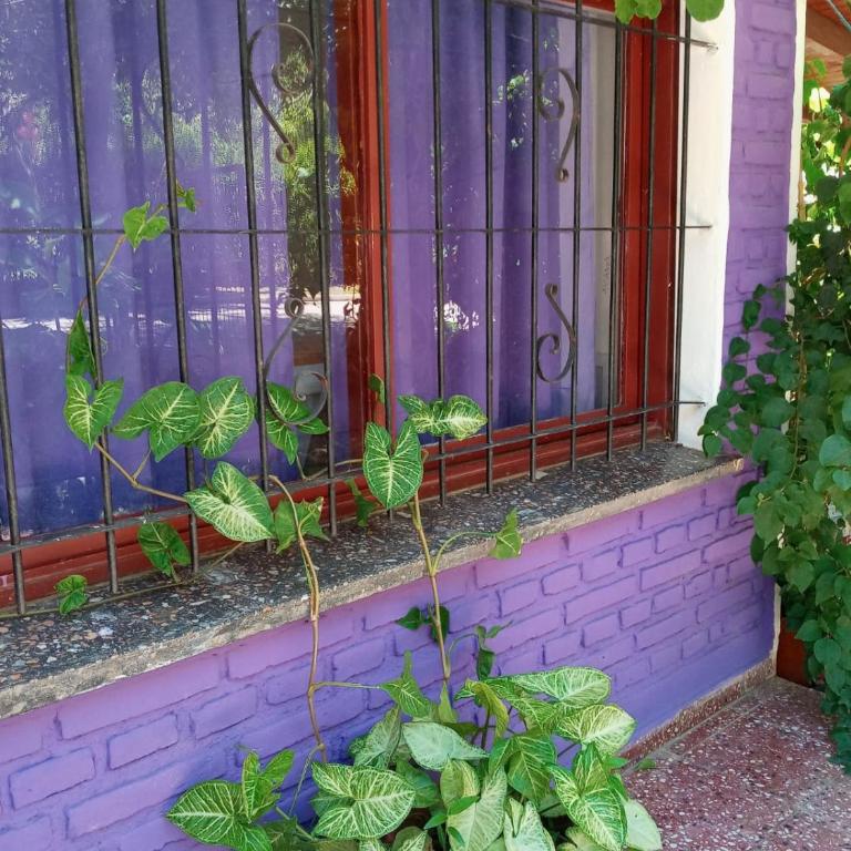 casitadearminda - Room #1584693301 - 8