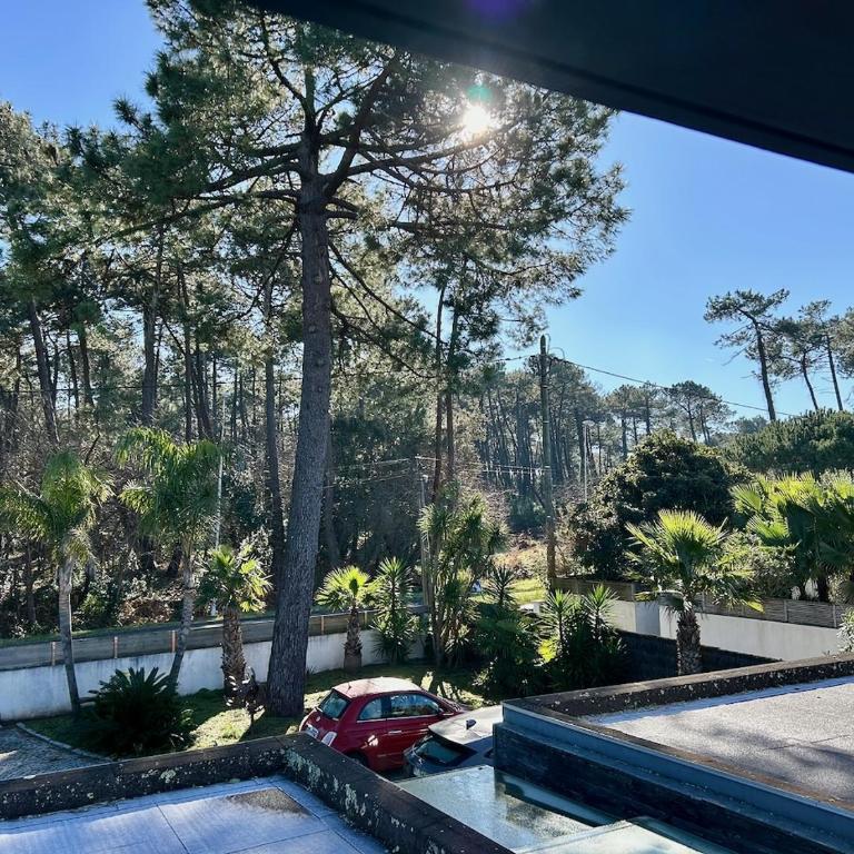 Appartement chic à Chiberta - golf, plage, clim & pinède - Appartement 1 Chambre - 2