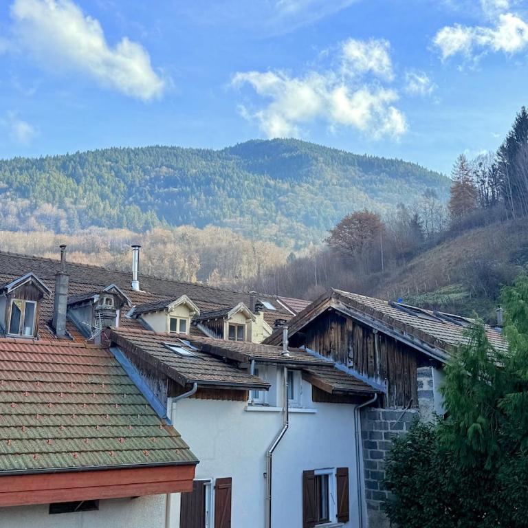 Apartments for 6 people - Thermal baths, Nature and Skiing - Appartement 3 Chambres - 17