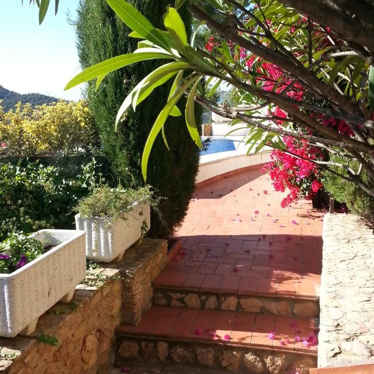 Maison familiale privée- piscine et vue inspirante - Villa - 35