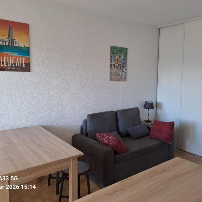 T2 cabine Port-Leucate 4 personnes balcon climatisation parking - Apartamento de 2 dormitorios - 8