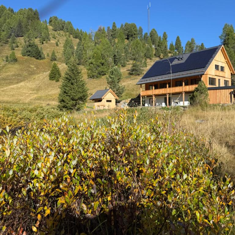 Almhaus Zwergbirke in Schönfeld - Apartment mit 1 Schlafzimmer - 3