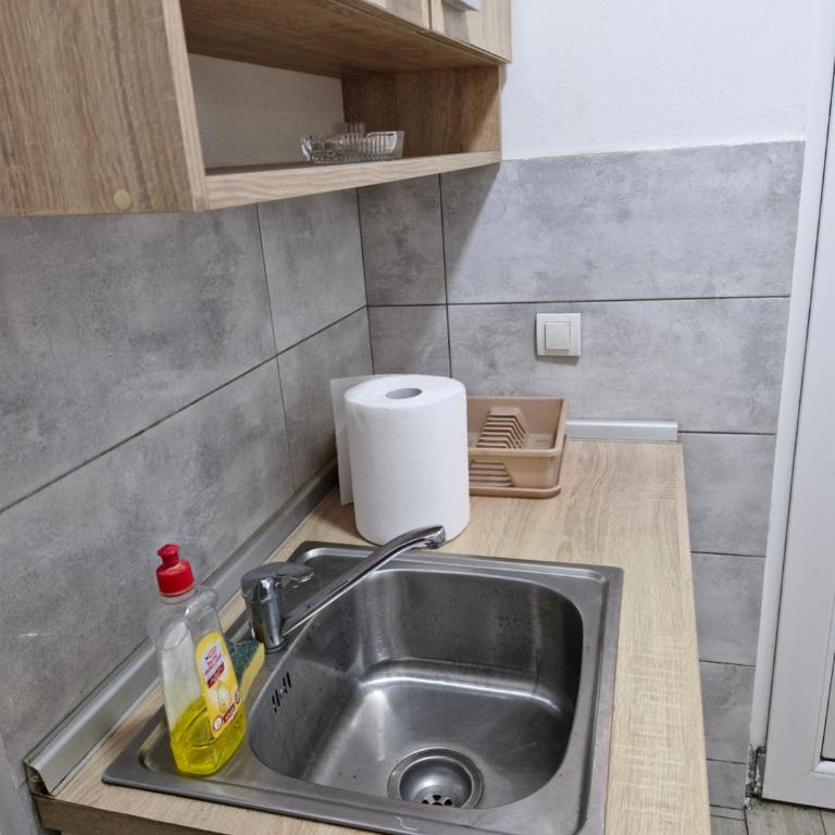Konak Kod Gorana 1 - Apartman sa 1 Spavaćom Sobom - 22