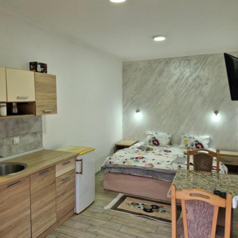Konak Kod Gorana 1 - Apartman sa 1 Spavaćom Sobom - 4