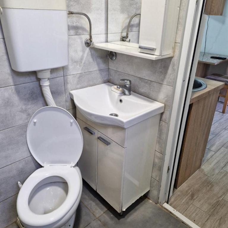 Konak Kod Gorana 1 - Apartman sa 1 Spavaćom Sobom - 7
