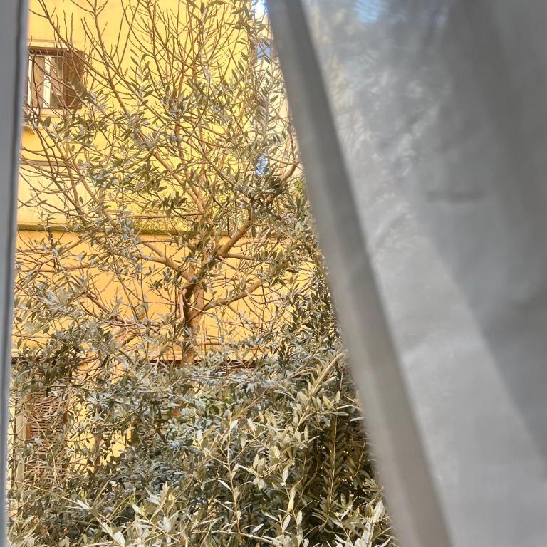 Guest house Aria - Monolocale Familiare - 3