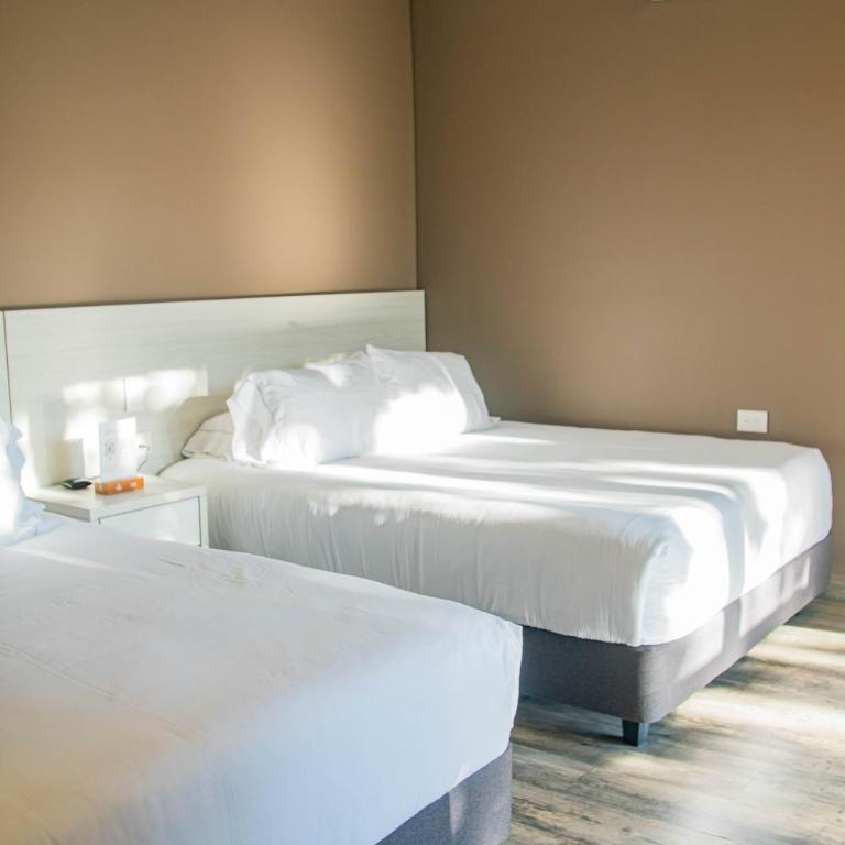Hotel PAUCHÉ Topiario Zapatoca - Suite Familiar - 5