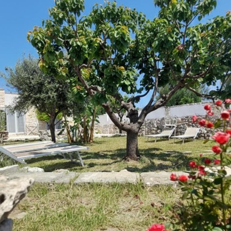Musa Balbisiana Casa Citrus - Casa con 2 Camere da Letto - 32