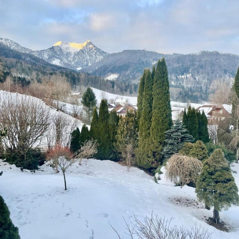 Modern loft for 6 with mountain views in Bad Ischl - Apartment mit 3 Schlafzimmern und Bergblick - 16