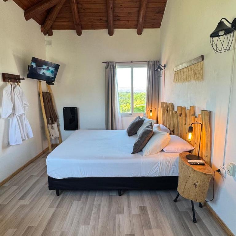 Punta Piedra cabañas & suites - Suite con balcón - 2