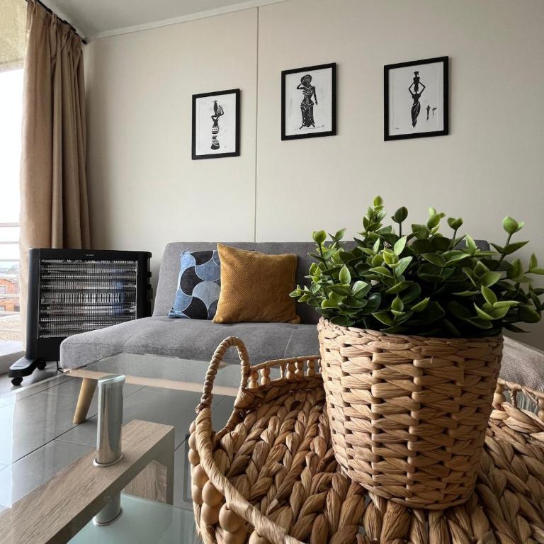 Apartamento en Rauquén, Curicó - Room #1584772901 - 12