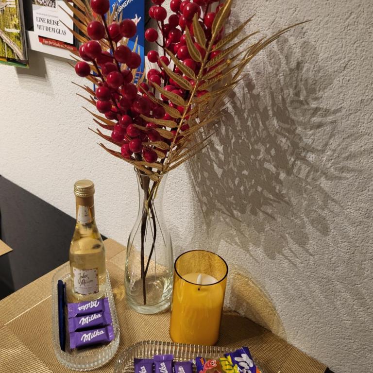 Bergzauber Bayerwald - voll ausgestattetes Familienapartment mit Pool - Apartment mit 1 Schlafzimmer - 14