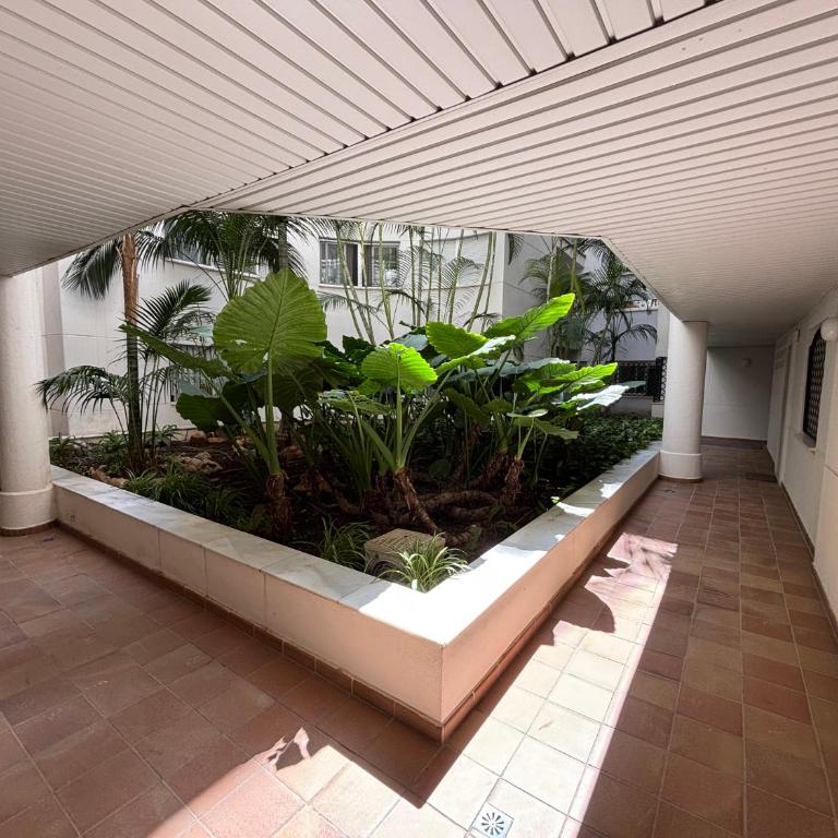 Zentromar Estepona - Apartamento de 1 dormitorio - 2