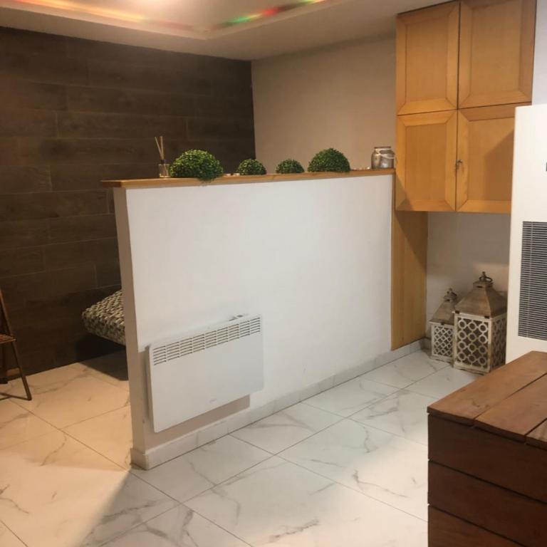 Apartman&SPA Stamenkovic - Apartman sa 1 Spavaćom Sobom - 15