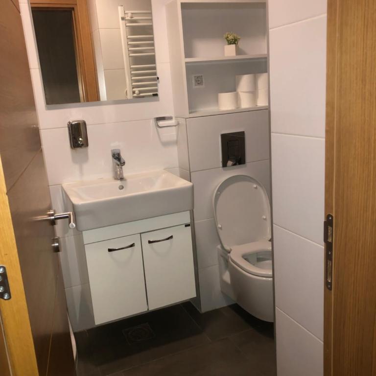 Apartman&SPA Stamenkovic - Apartman sa 1 Spavaćom Sobom - 12
