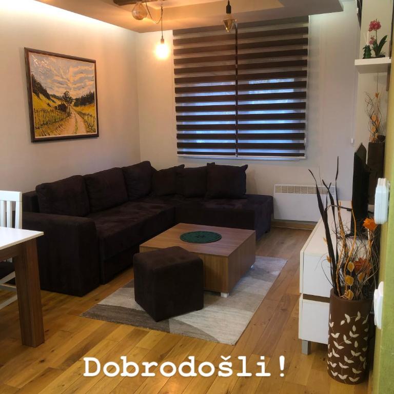 Apartman&SPA Stamenkovic - Apartman sa 1 Spavaćom Sobom - 1