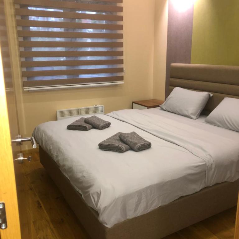 Apartman&SPA Stamenkovic - Apartman sa 1 Spavaćom Sobom - 9
