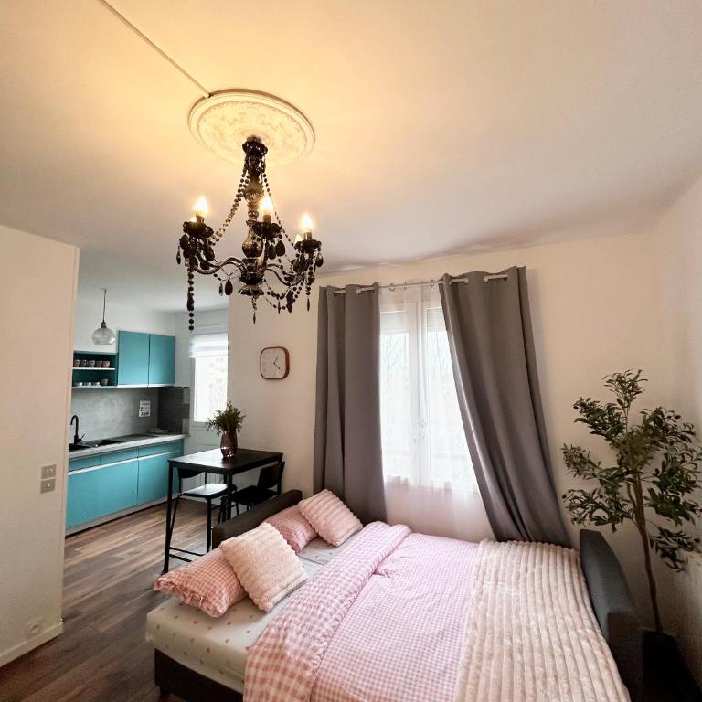 Joli appartement avec parking privé en plein centre ville - Appartement 2 Chambres - 6