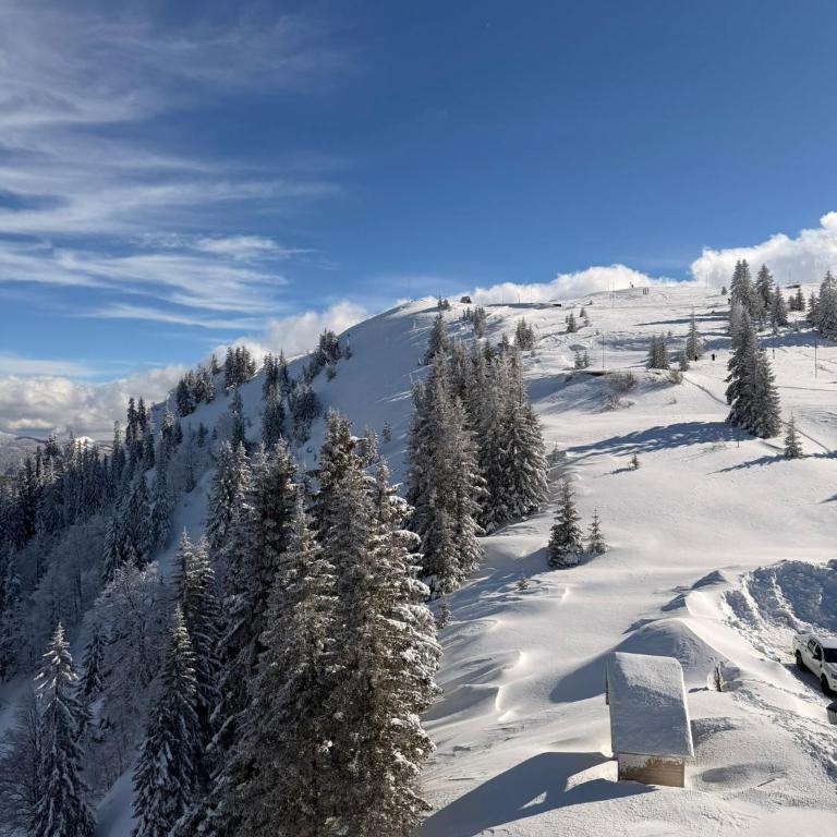 Prestige Lux Andan - Apart hotel Horizont Jahorina - Two-Bedroom Apartment with View - 39