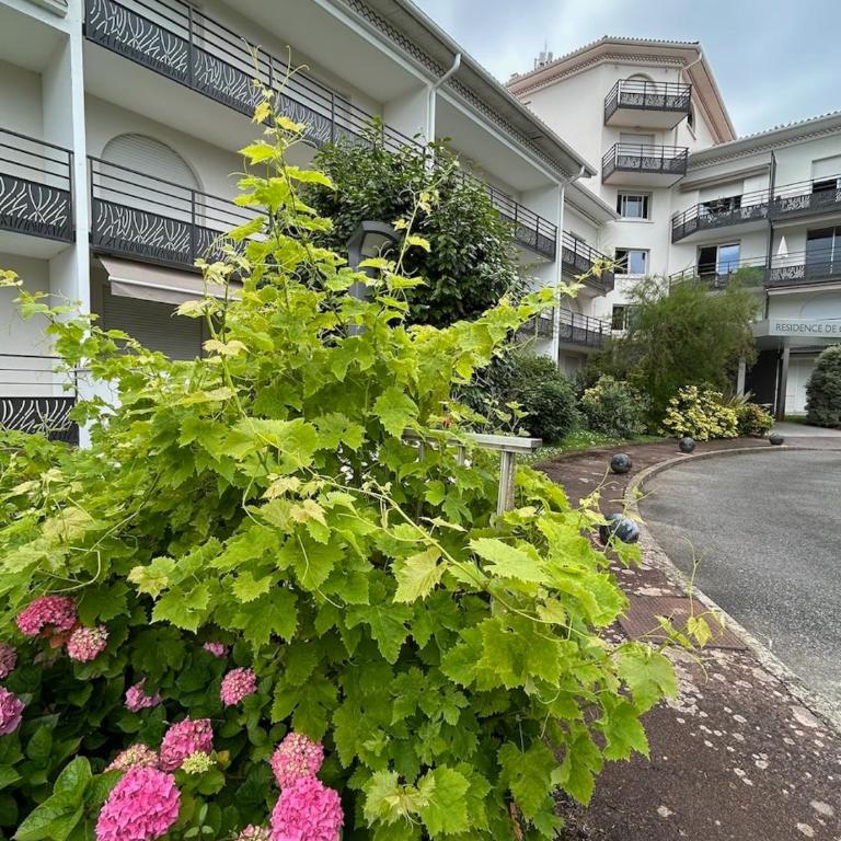 Chiberta Studio 3 étoiles climatisé piscine plage & golf - Apartment mit 1 Schlafzimmer - 6