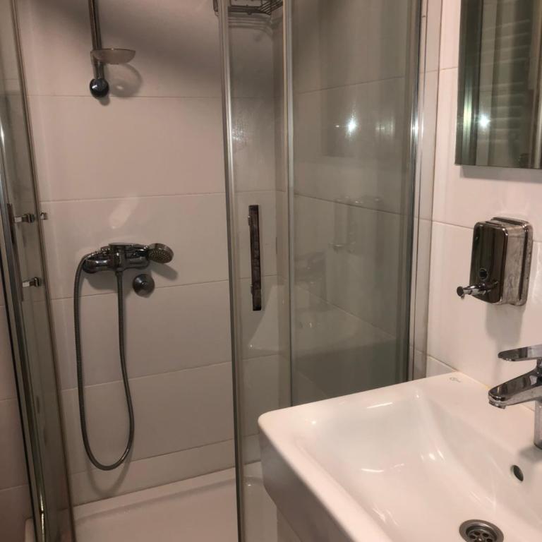Apartman&SPA Stamenkovic - Apartman sa 1 Spavaćom Sobom - 13