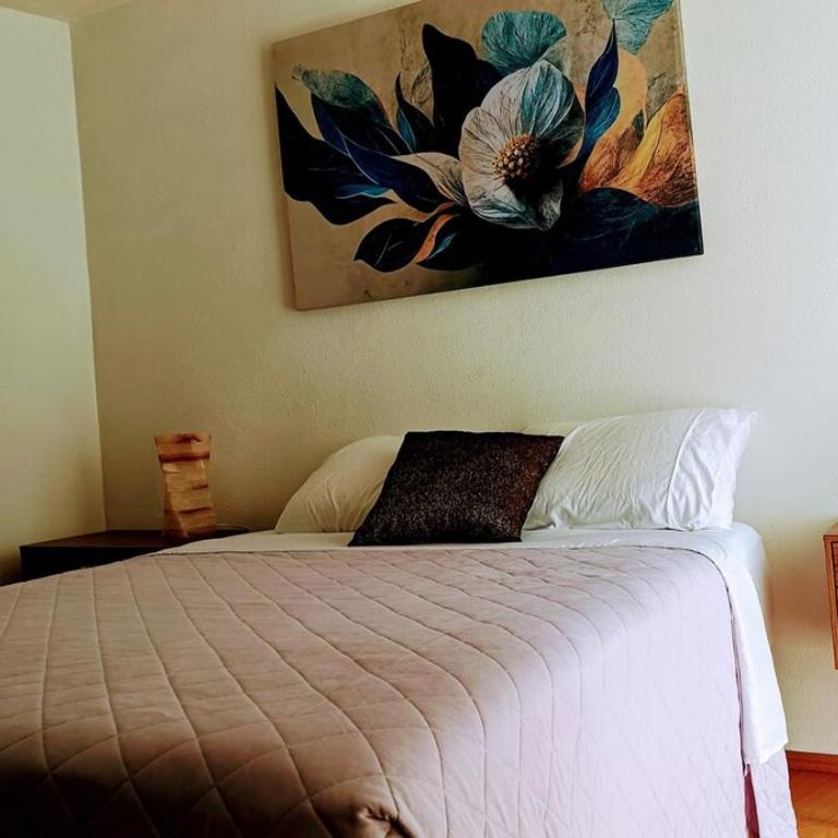 Puebla Residence Complete House 3 bedrooms - Casa con 1 dormitorio - 18