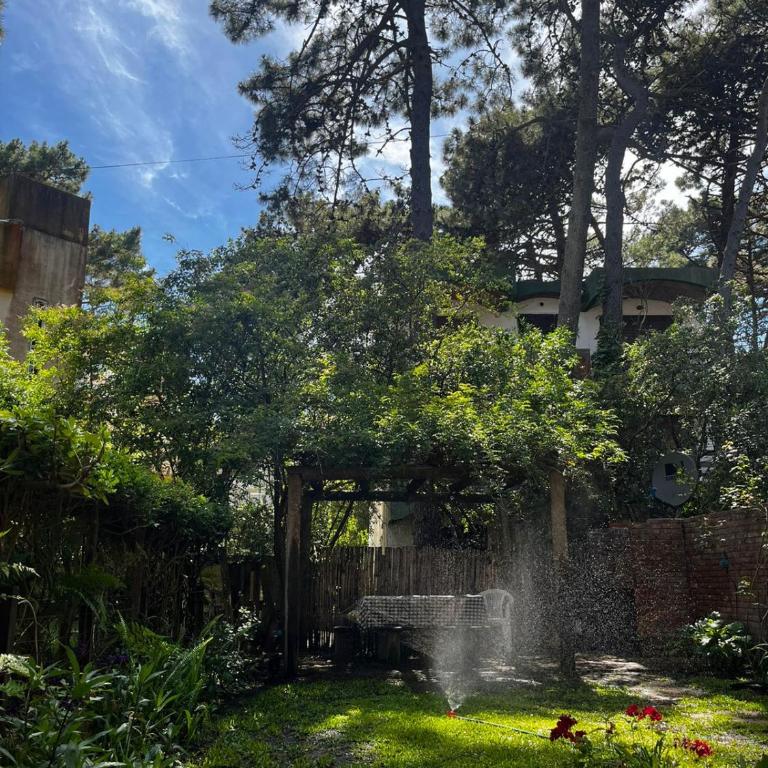 Duplex in the woods with private garden - Room #1584829501 - 10