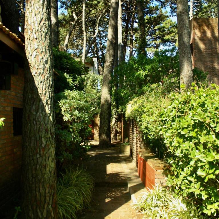 Duplex in the woods with private garden - Room #1584829501 - 14