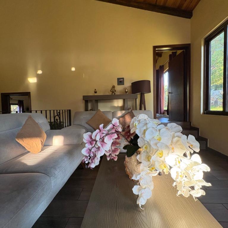 Cabaña No 10 Puerta del Bosque Mazamitla - Chalet - 34