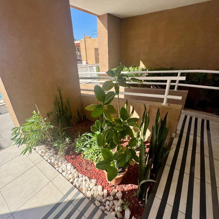 Full Equipado, Piscina, Estacionamiento, Seguridad - Room #1584858901 - 16