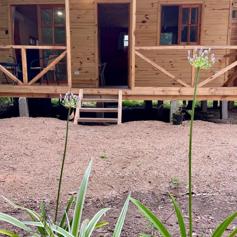 Pampa mar - One-Bedroom Apartment - 3