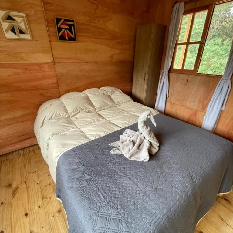 Pampa mar - One-Bedroom Apartment - 6