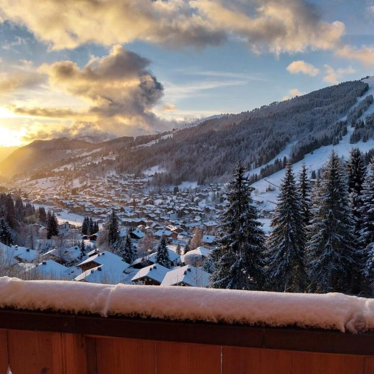 Chalet spacieux avec Wi-Fi et parking, animaux admis - FR-1-671-324 - Chalet - 2
