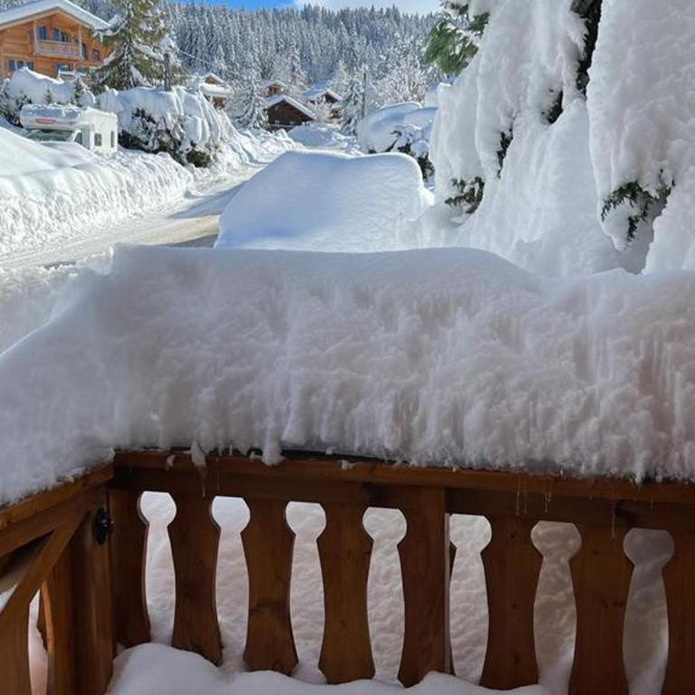 Chalet familial Les Gets avec Wi-Fi et parking - FR-1-671-329 - Chalet - 22